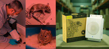 Tired of rats? Compare Gizmocat ultrasonic repellent to traps, poisons, and pest control. Discover the safest, most effective, and long-term solution for rodent infestations in homes and industrial spaces.